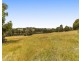 Lot 9 Buckley Road, Nannup WA 6275