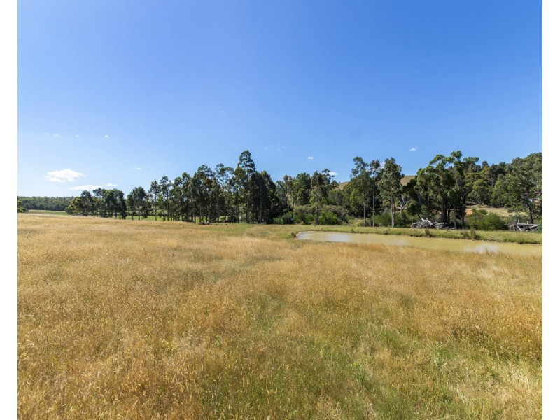 Lot 9 Buckley Road, Nannup WA 6275