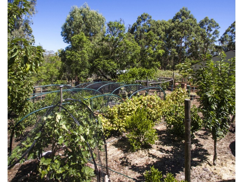 91 Denny Road, Nannup WA 6275