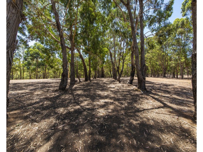 91 Denny Road, Nannup WA 6275