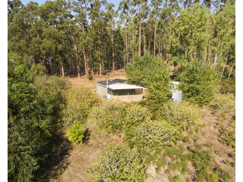 42 Buckley Road, Nannup WA 6275