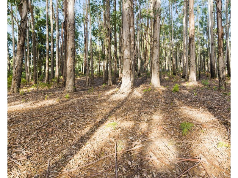 42 Buckley Road, Nannup WA 6275