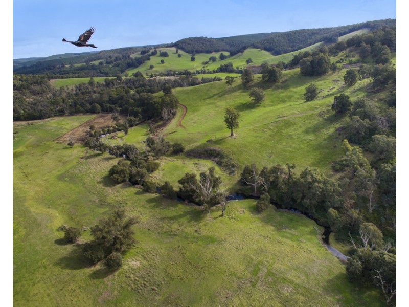 8129 Balingup-Nannup Road, Balingup WA 6253