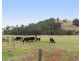 8129 Balingup-Nannup Road, Balingup WA 6253