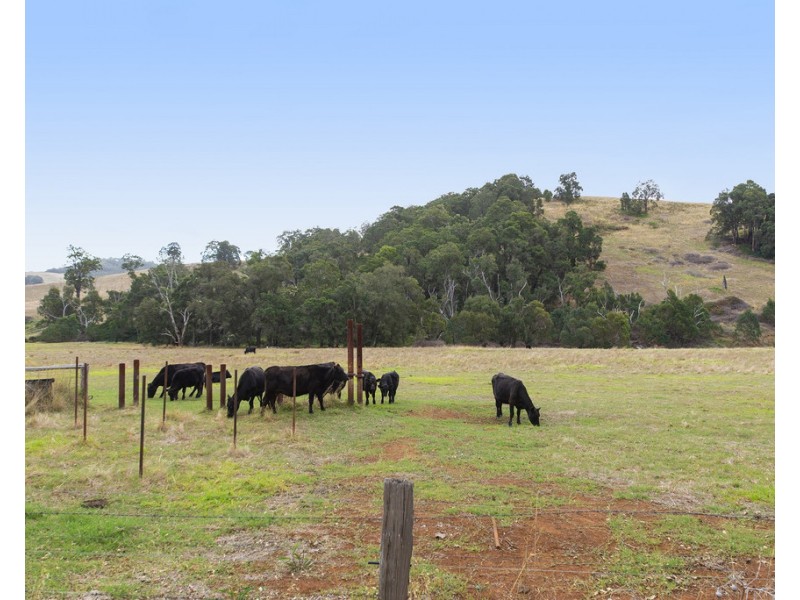 8129 Balingup-Nannup Road, Balingup WA 6253