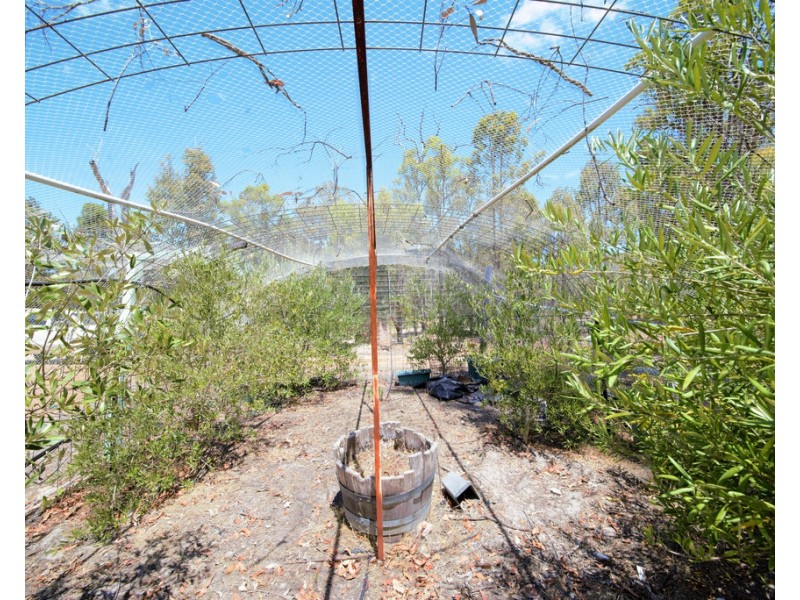 225 Johnston Road, Nannup WA 6275