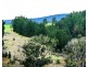 Lot 508 McAlpine Mews, Nannup WA 6275