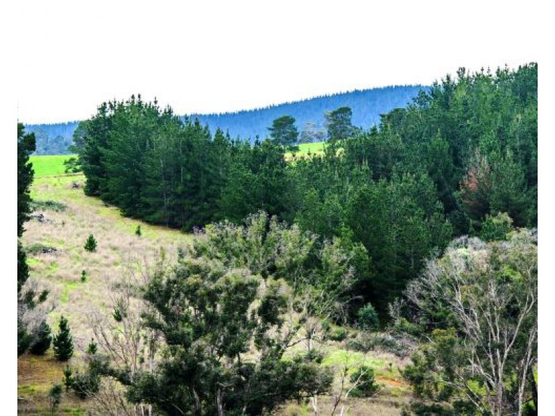 Lot 508 McAlpine Mews, Nannup WA 6275