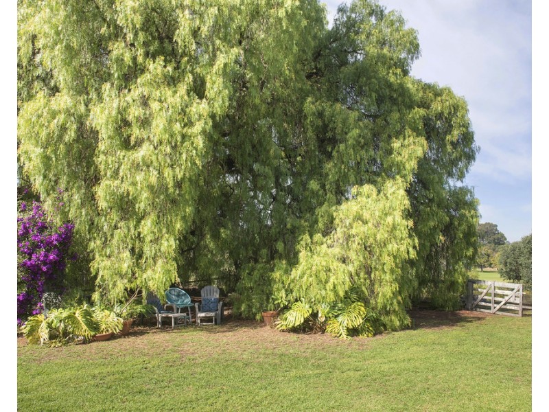 5985 Vasse Highway, Nannup WA 6275