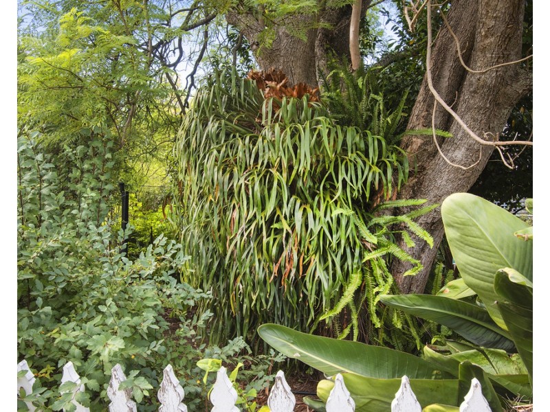 5985 Vasse Highway, Nannup WA 6275