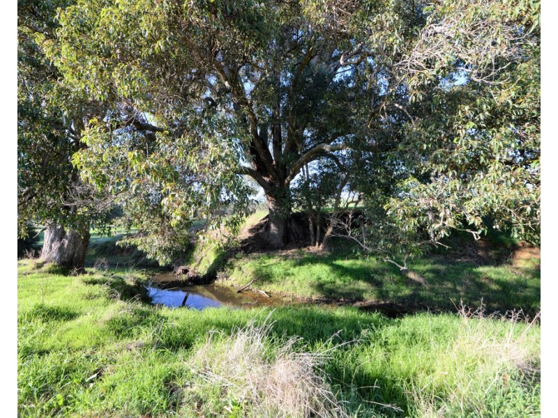 Lot 73 Cundinup-Kirup Road, Nannup WA 6275