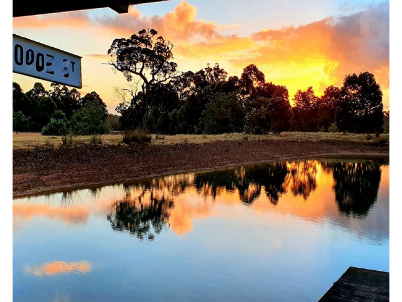 7397 Vasse Highway, Nannup WA 6275