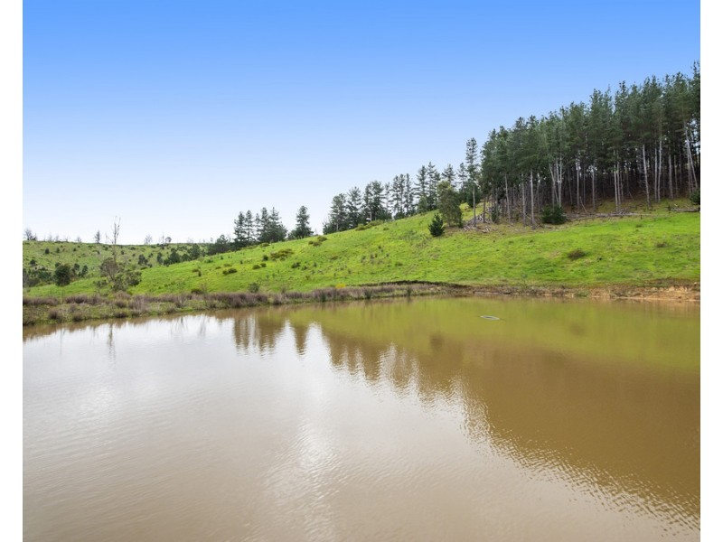 11 Brockman Highway, Nannup WA 6275