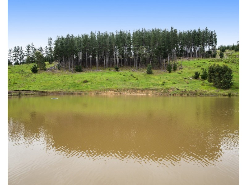 11 Brockman Highway, Nannup WA 6275
