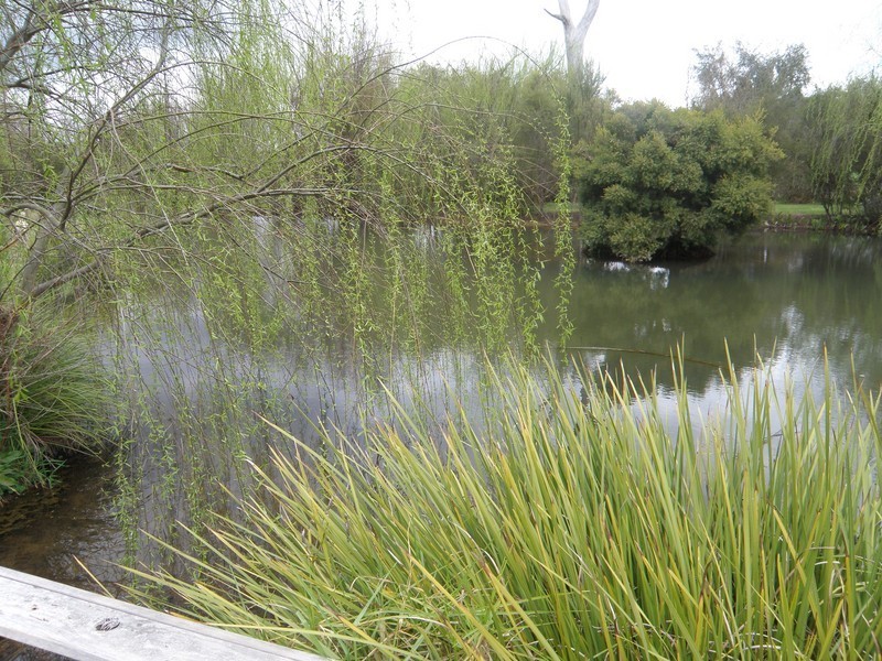 5 Roberts Rd, Nannup WA 6275