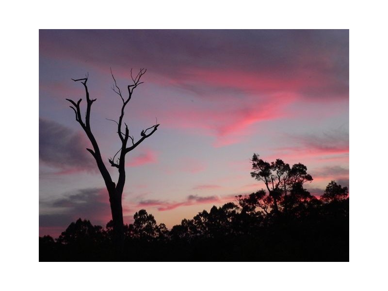 5 Roberts Rd, Nannup WA 6275