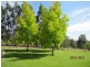 Lot 15 Rosella Close, Nannup WA 6275