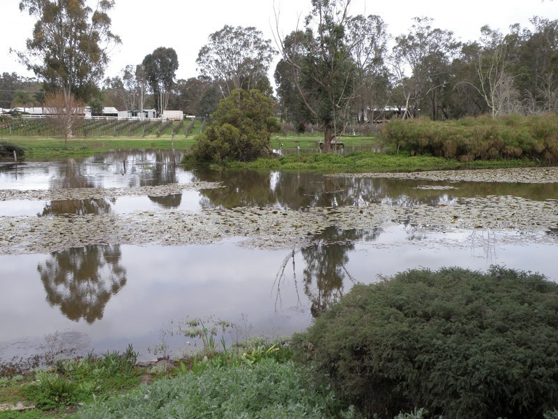 48 Higgins St, Nannup WA 6275