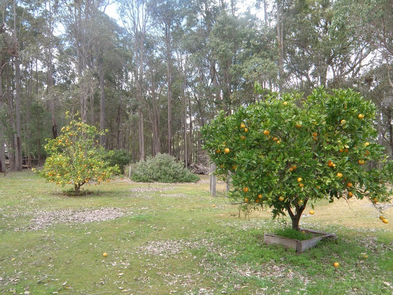 Nannup WA 6275