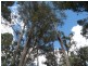 Nannup WA 6275