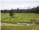 Nannup WA 6275