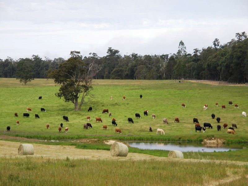 Nannup WA 6275