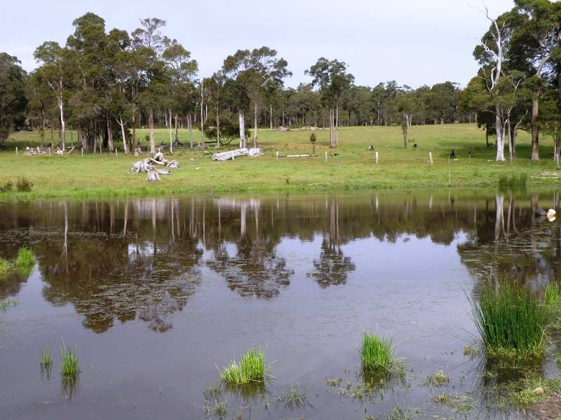 Nannup WA 6275