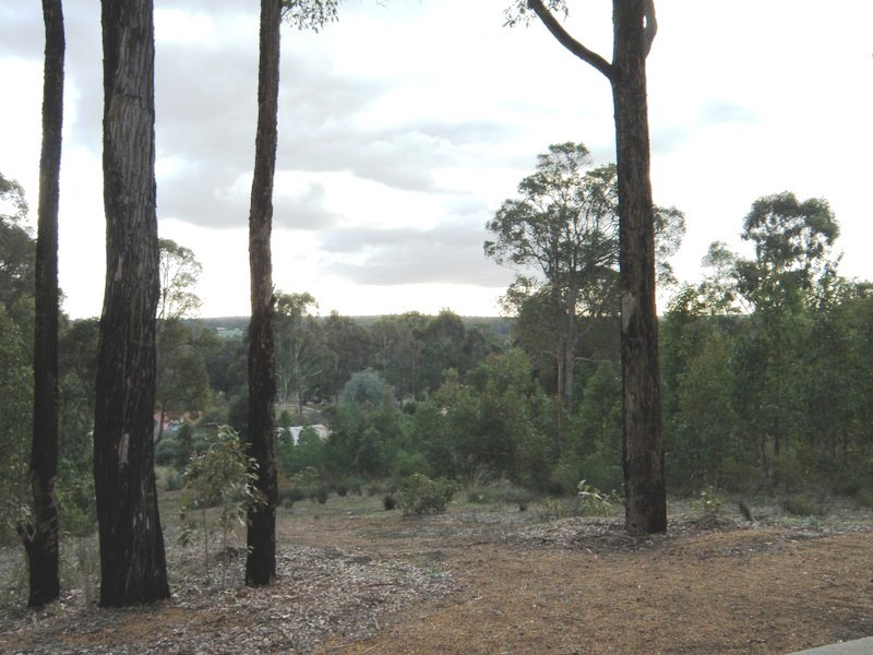 Lot 13 Carey Street, Nannup WA 6275