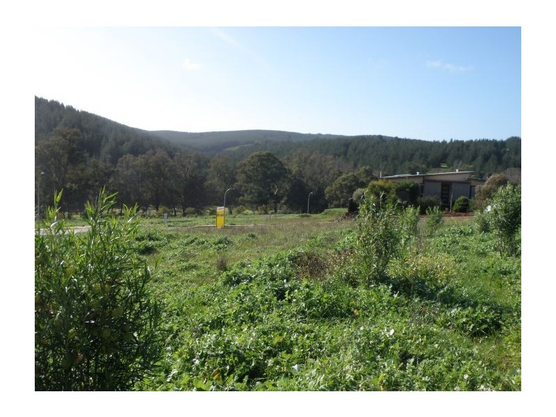 Lot 108 Hitchcock Drive, Nannup WA 6275