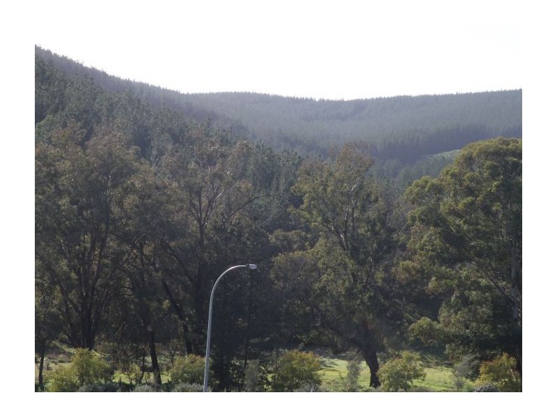 Lot 108 Hitchcock Drive, Nannup WA 6275