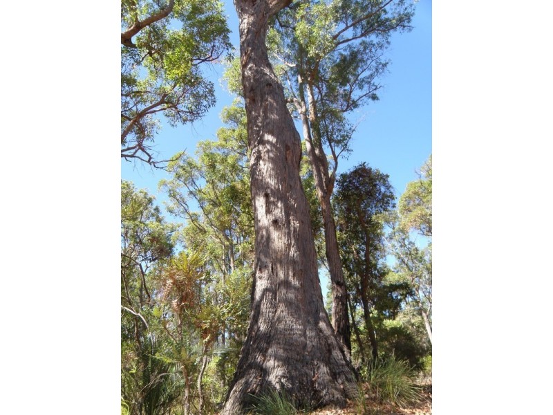 Nannup WA 6275