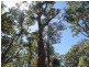 Nannup WA 6275