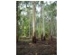 Lot 102 East Nannup Rd, Nannup WA 6275
