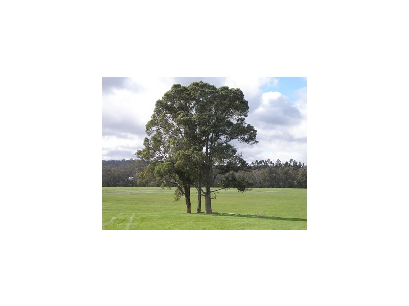Lot 109 Dean Rd, Nannup WA 6275