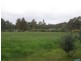 Lot 1 Griffiths St, Nannup WA 6275