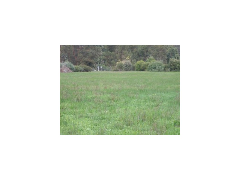 Lot 1 Griffiths St, Nannup WA 6275