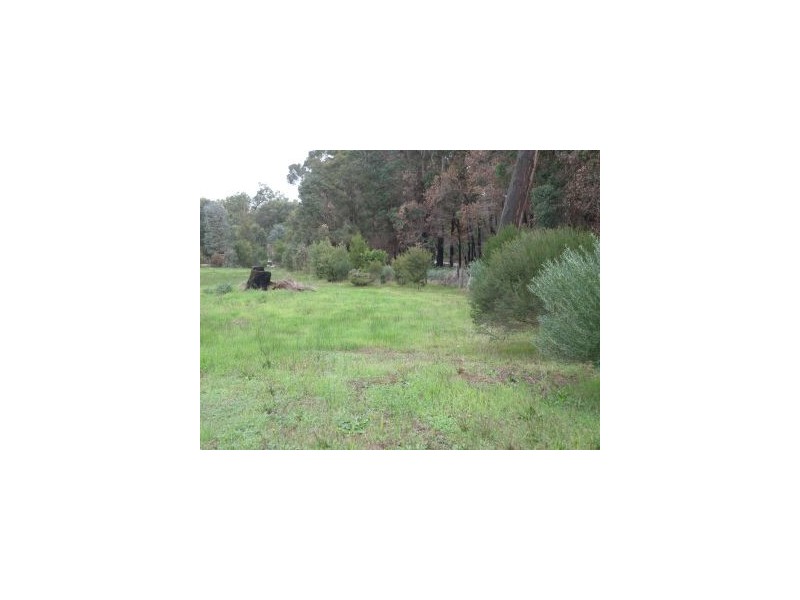 Lot 1 Griffiths St, Nannup WA 6275