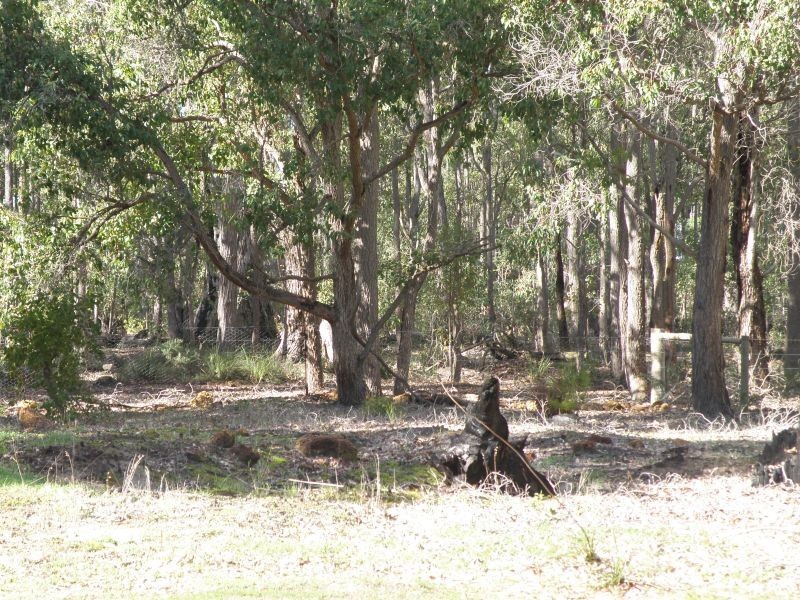 Lot 20 Cockatoo Dve, Nannup WA 6275