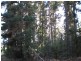 Lot 11189 Mt Leewin Loop, Nannup WA 6275