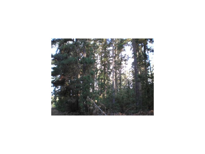 Lot 11189 Mt Leewin Loop, Nannup WA 6275