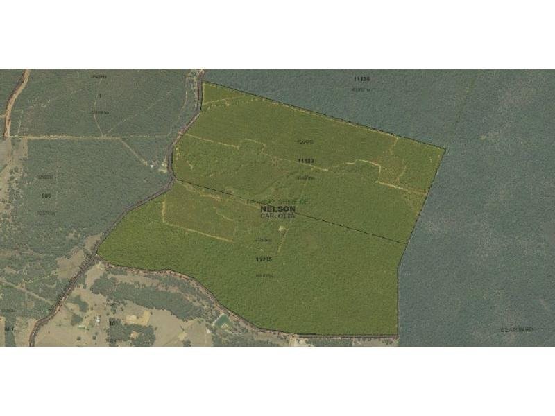 Lot 11189 Mt Leewin Loop, Nannup WA 6275