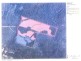 Lot 11189 Mt Leewin Loop, Nannup WA 6275