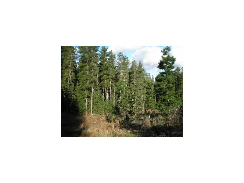Lot 11189 Mt Leewin Loop, Nannup WA 6275
