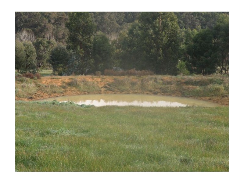 Lot 4 Forrest View Cort, Greenbushes WA 6254