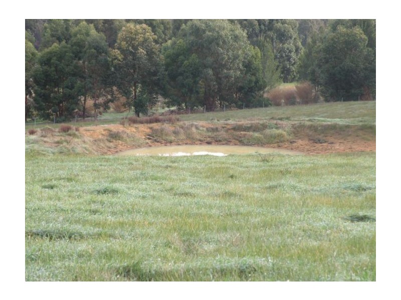 Lot 4 Forrest View Cort, Greenbushes WA 6254