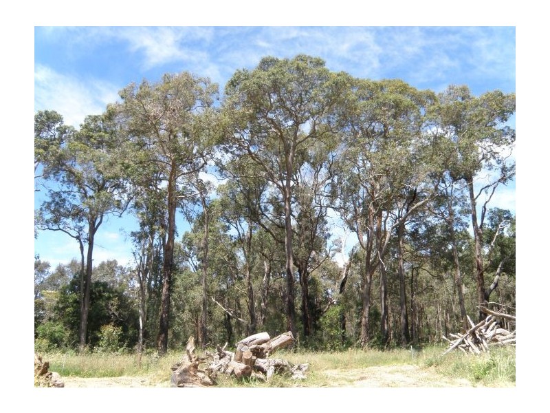 22 Jephson Way, Nannup WA 6275
