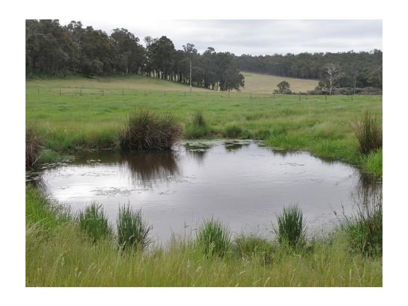 Lot 800 Graphite Rd, Nannup WA 6275