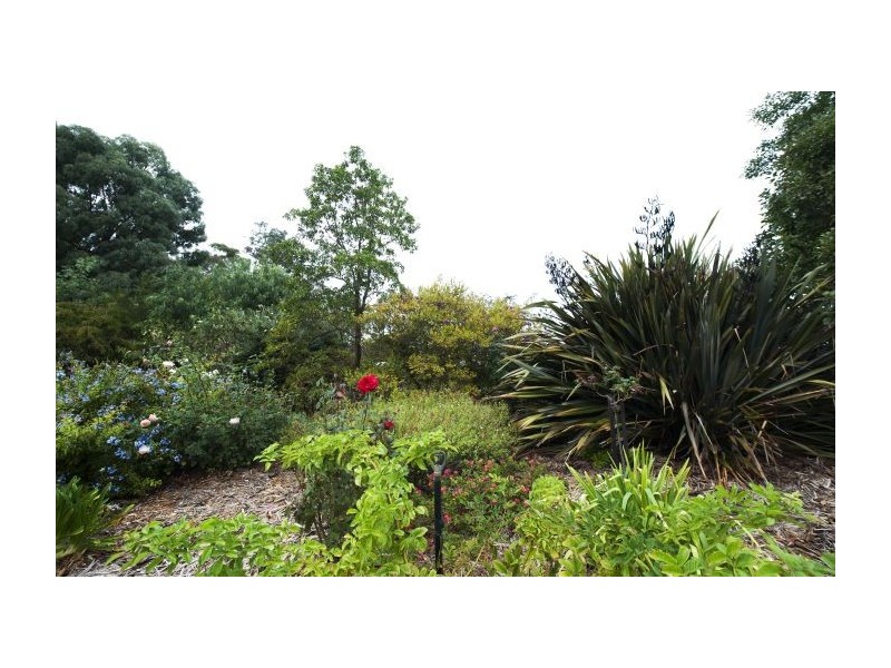 Manjimup WA 6258