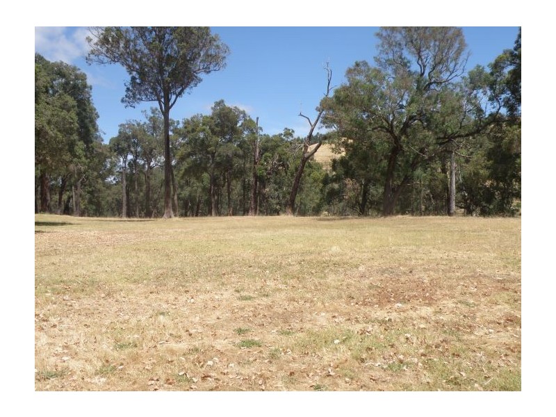 Lot 103 Balingup Nannup Rd, Nannup WA 6275