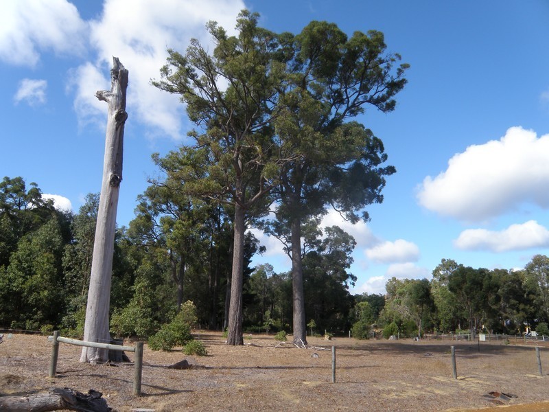 Lot 30 Valley Way, Nannup WA 6275